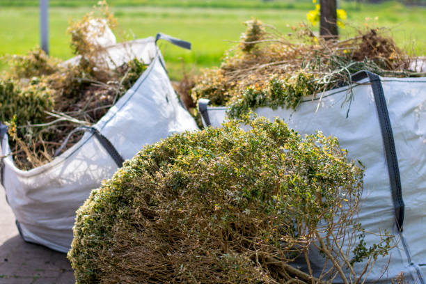 Best Yard Waste Removal  in Weedpatch, CA